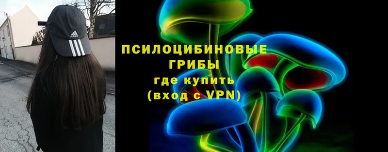 Галлюциногенные грибы Psilocybine cubensis  ОМГ ОМГ рабочий сайт  Заволжье 